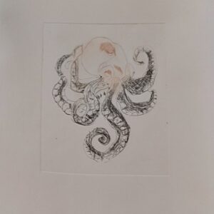 Pieuvre Linographie