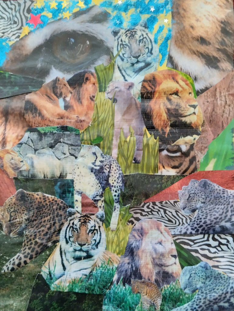 Félins 32x24 cm 150 euros