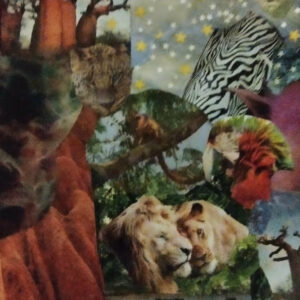 Série animalière Savane 30 x24 cm 150 euros